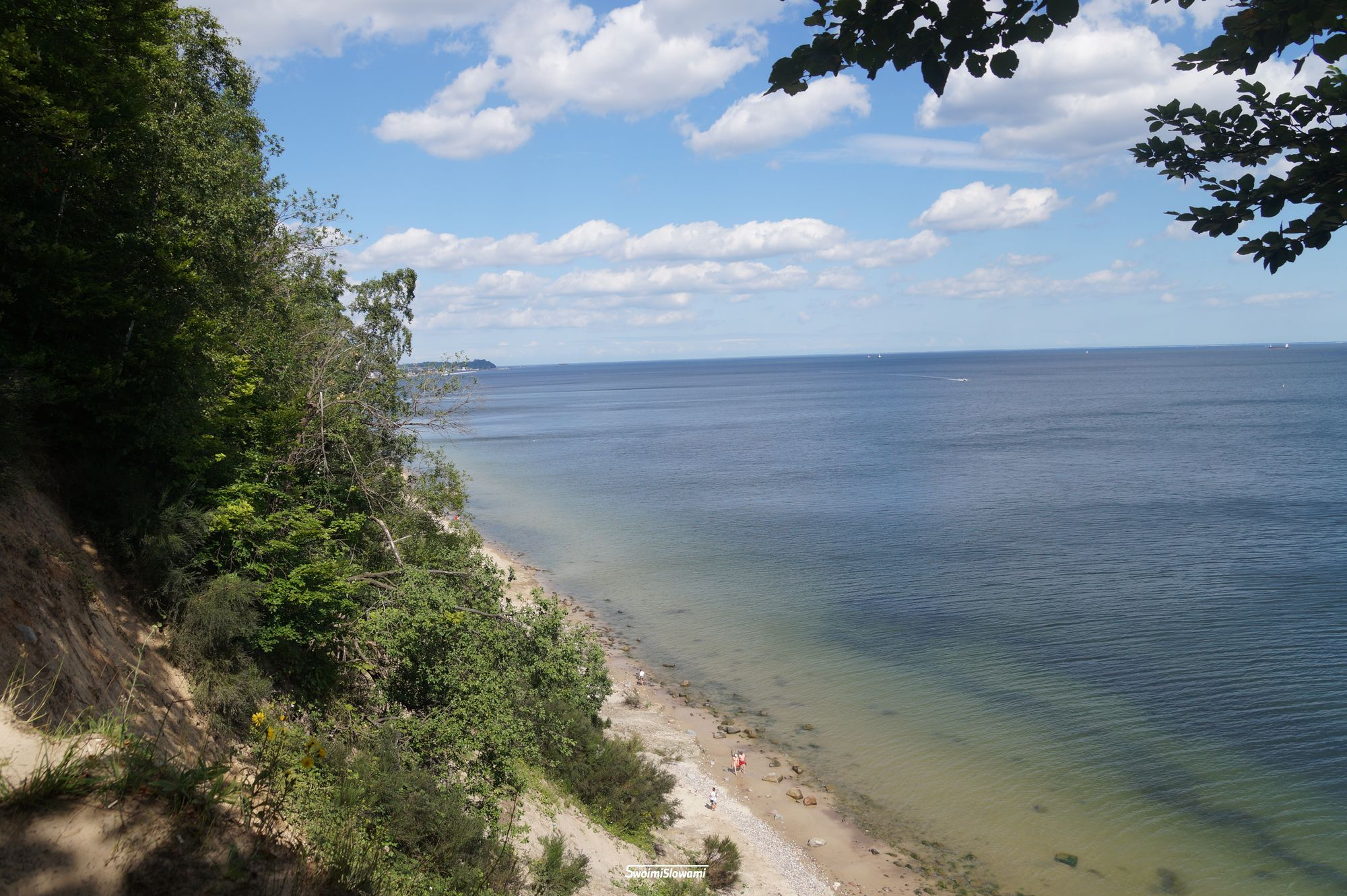 Gdynia Orlowo Klif 25.jpg